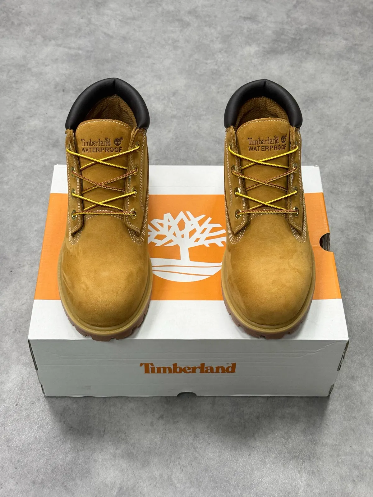 Timberland Chukka