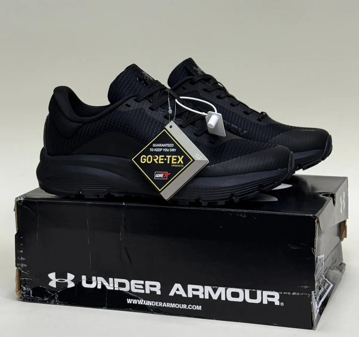 Under Armour Charged Escape 3 Evo GORE-TEX