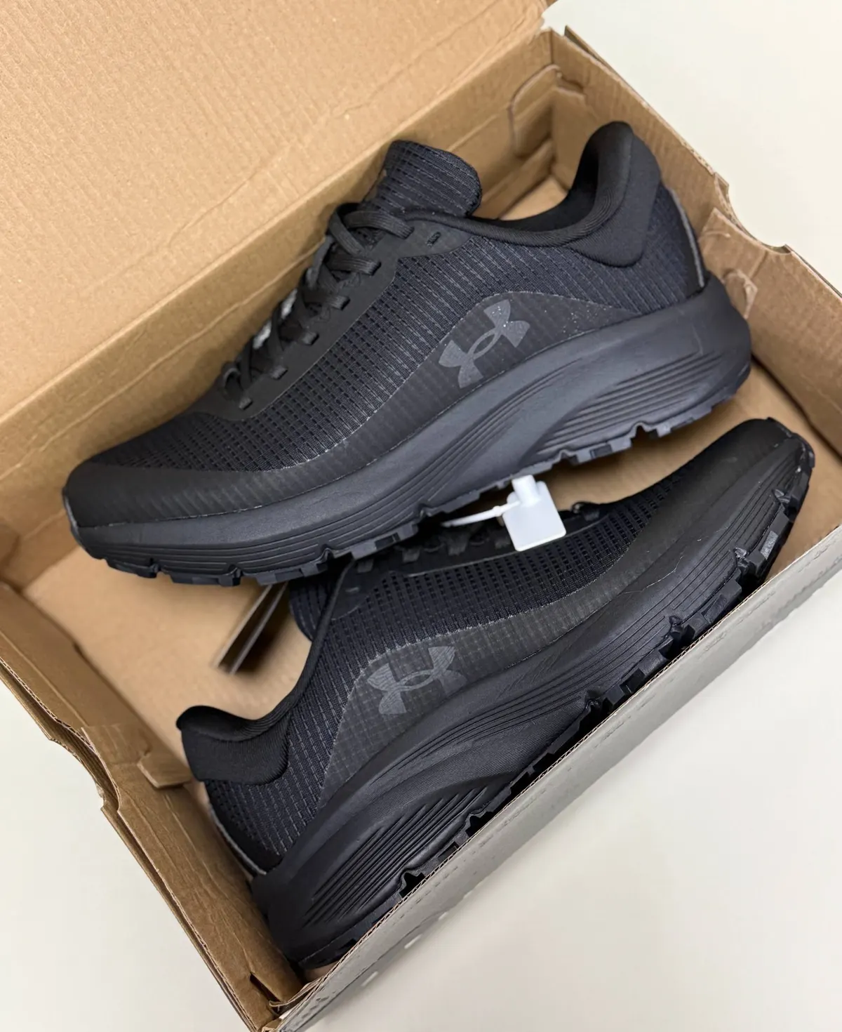 Under Armour Charged Escape 3 Evo GORE-TEX