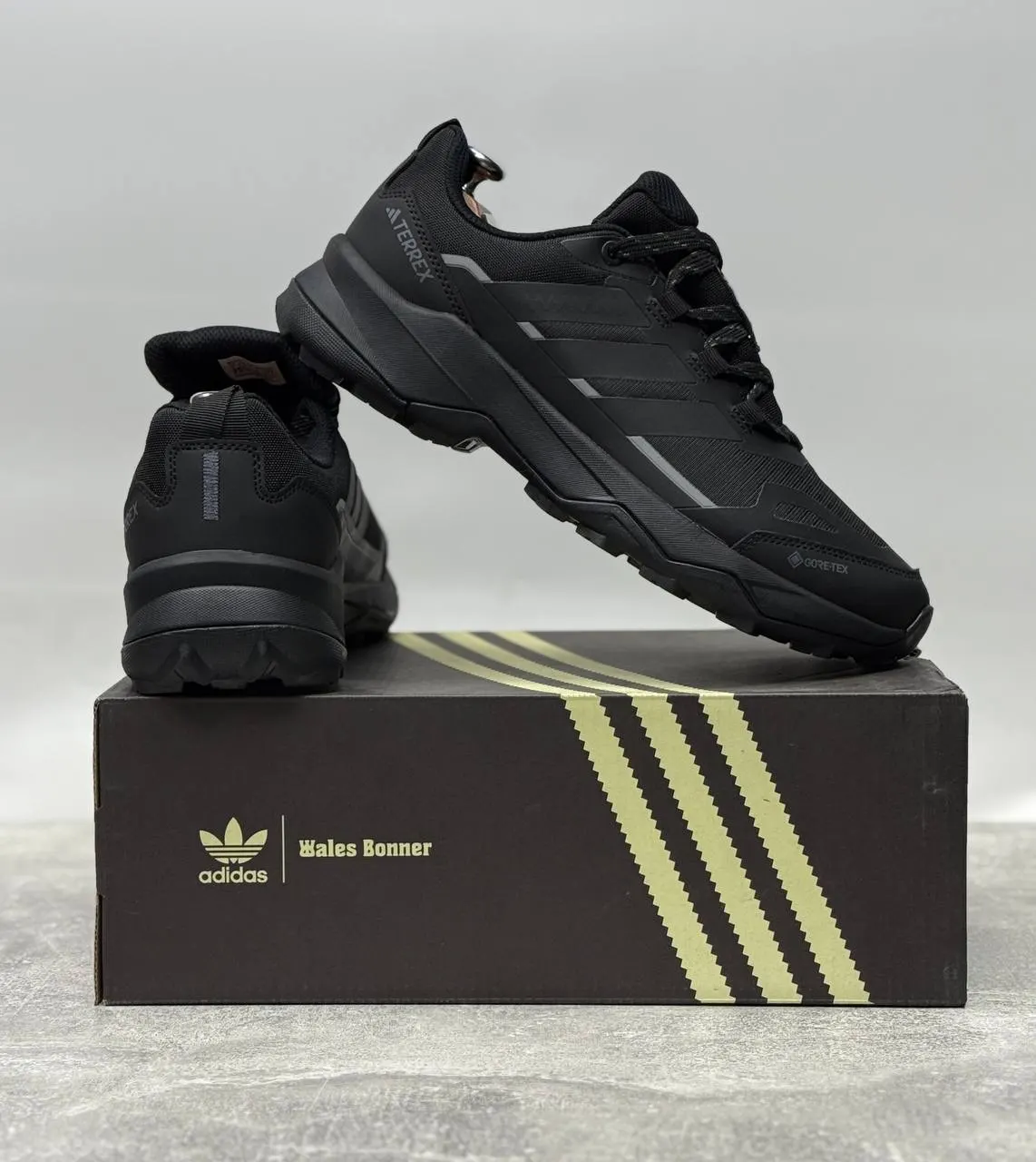 Adidas Terrex AX4 GORE-TEX