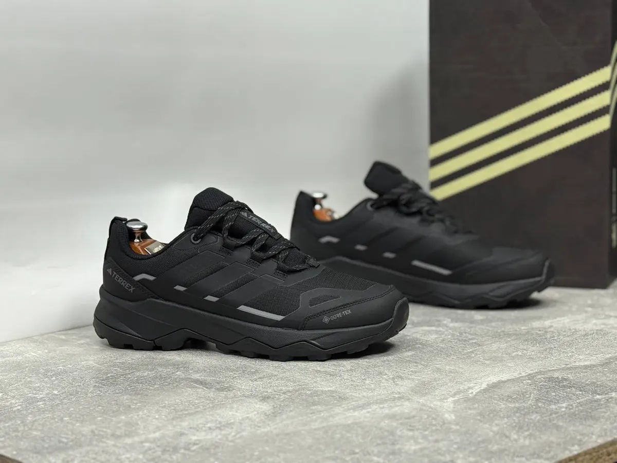Adidas Terrex AX4 GORE-TEX