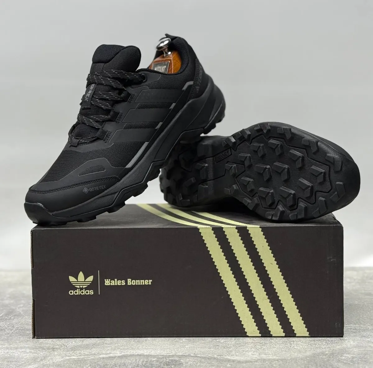 Adidas Terrex AX4 GORE-TEX