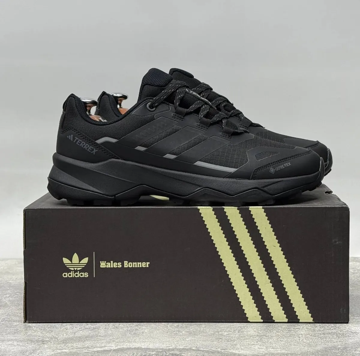 Adidas Terrex AX4 GORE-TEX