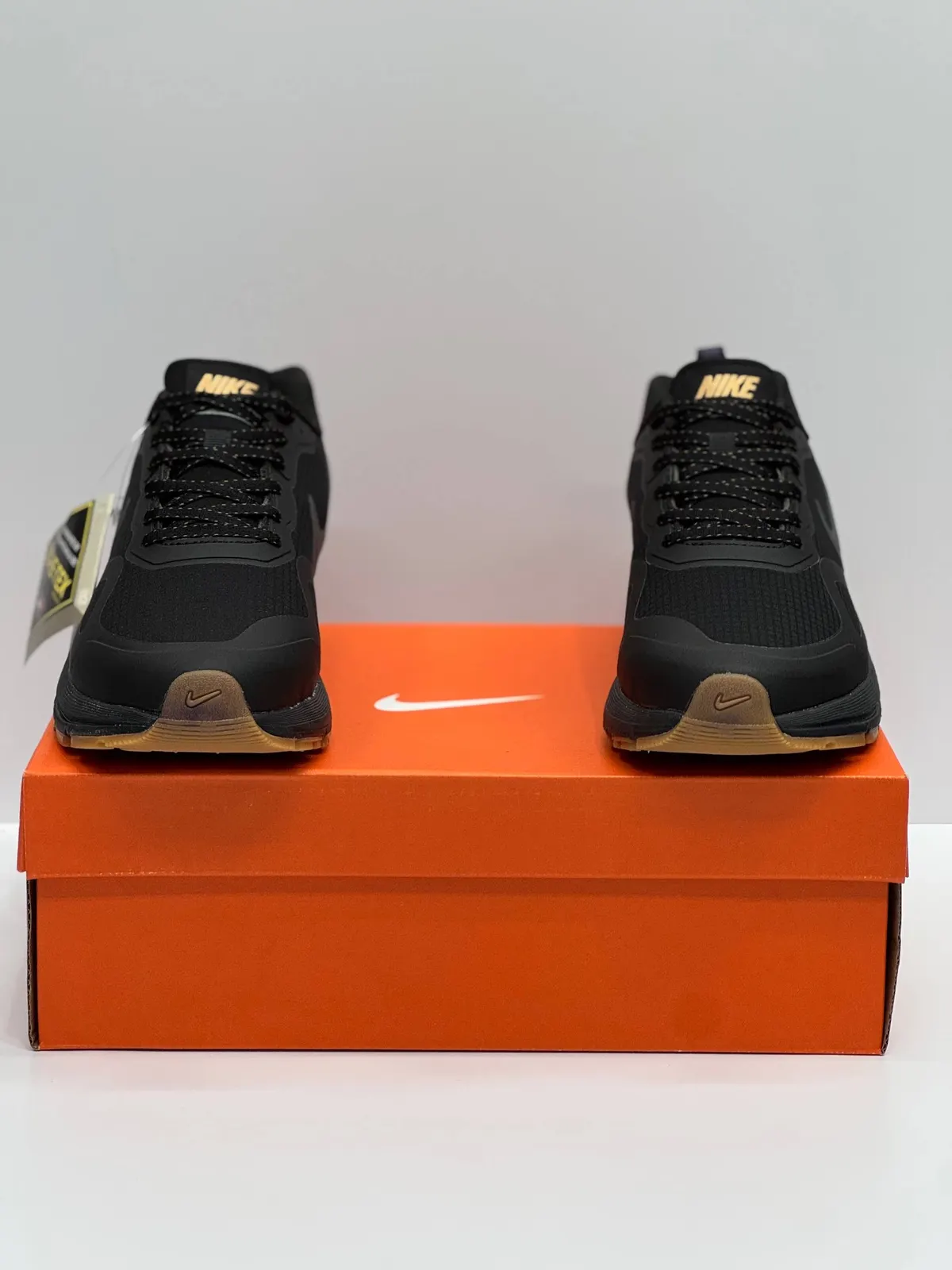 Nike Air Zoom Pegasus 41 GORE-TEX