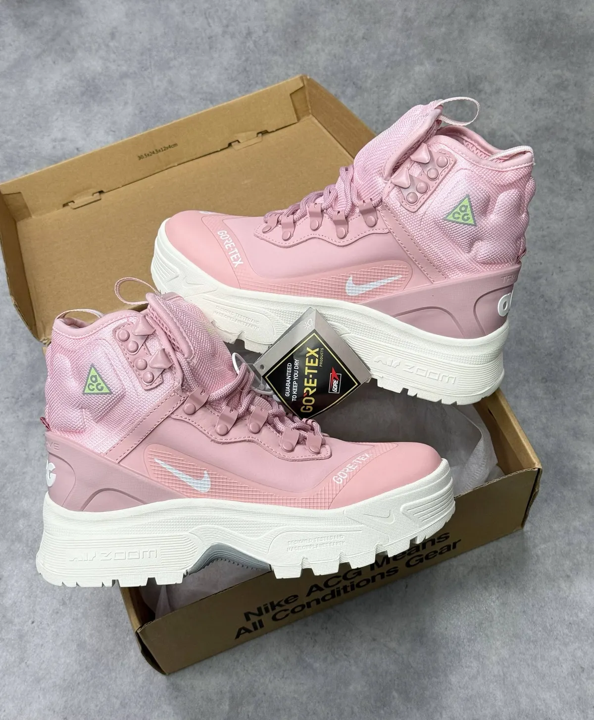 Nike ACG Air Zoom Gaiadome Gore-Tex