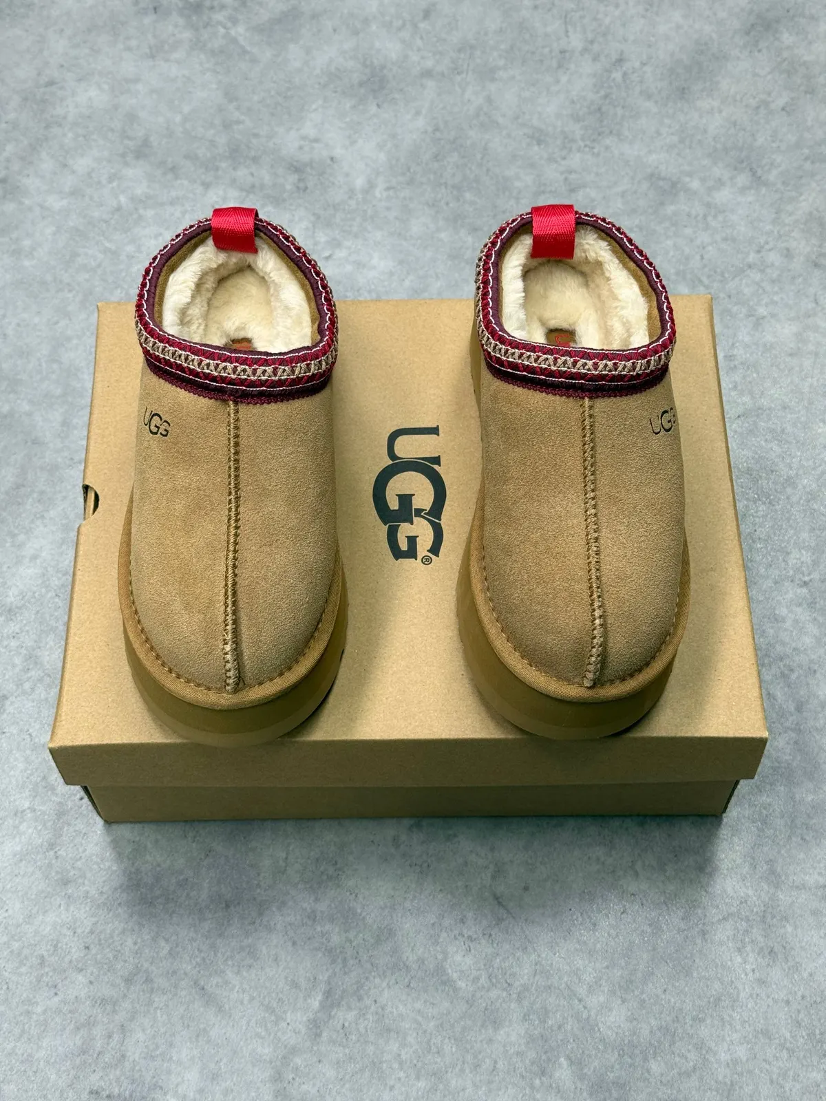 UGG Tazz Slipper