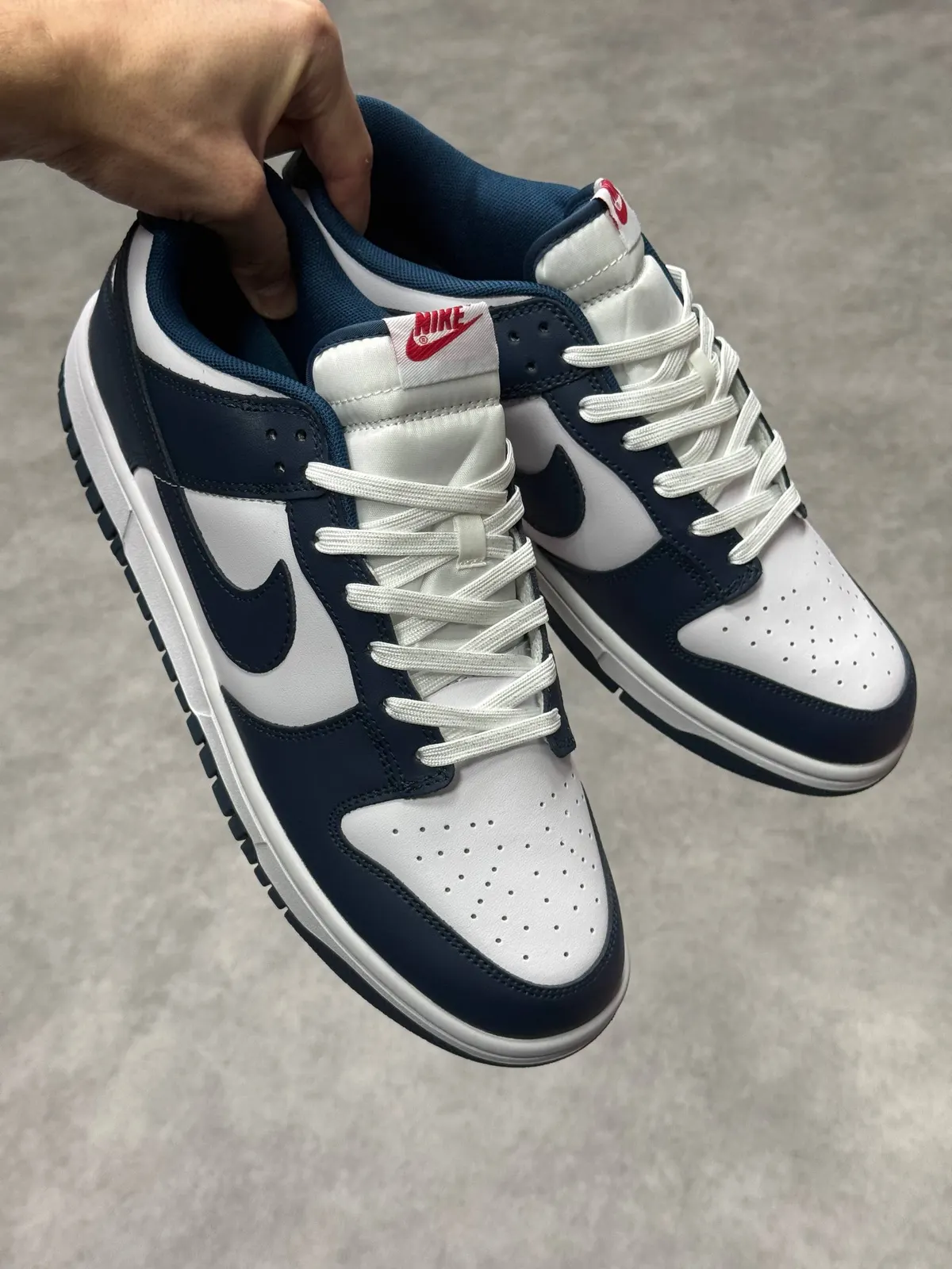 Nike Dunk Low Retro