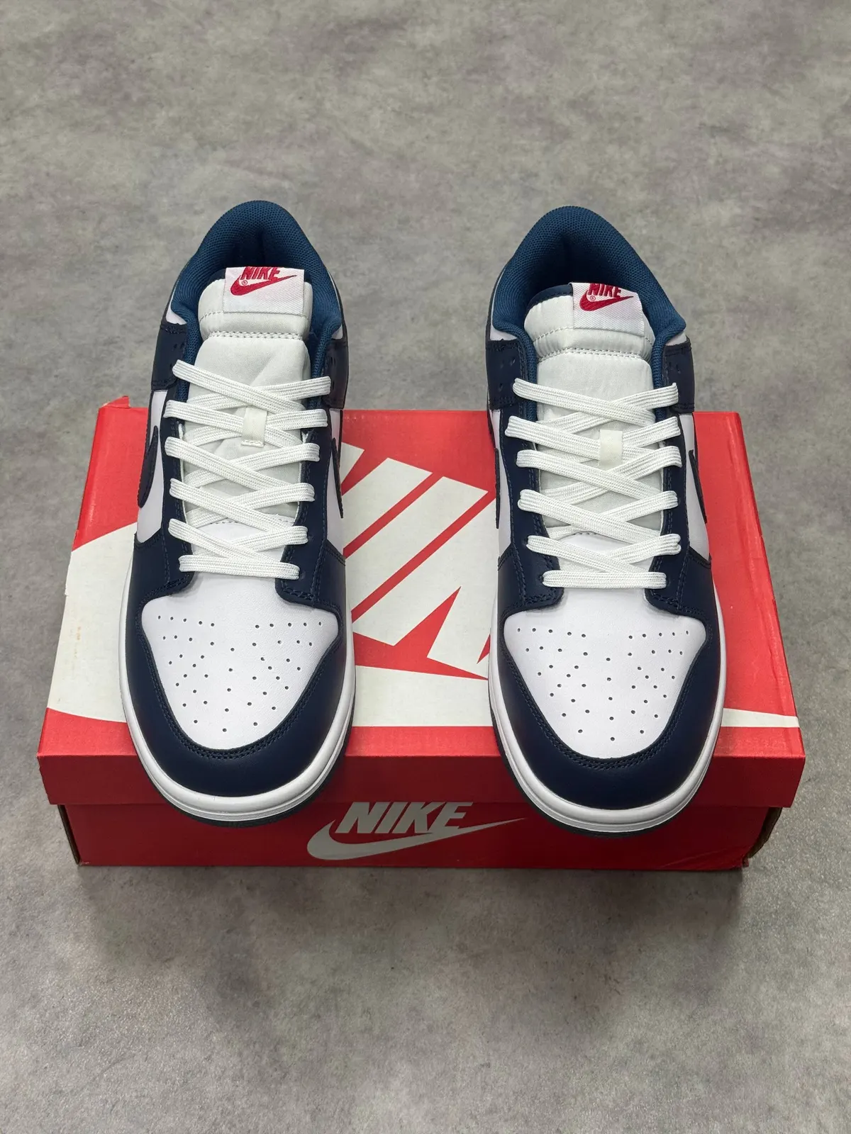 Nike Dunk Low Retro