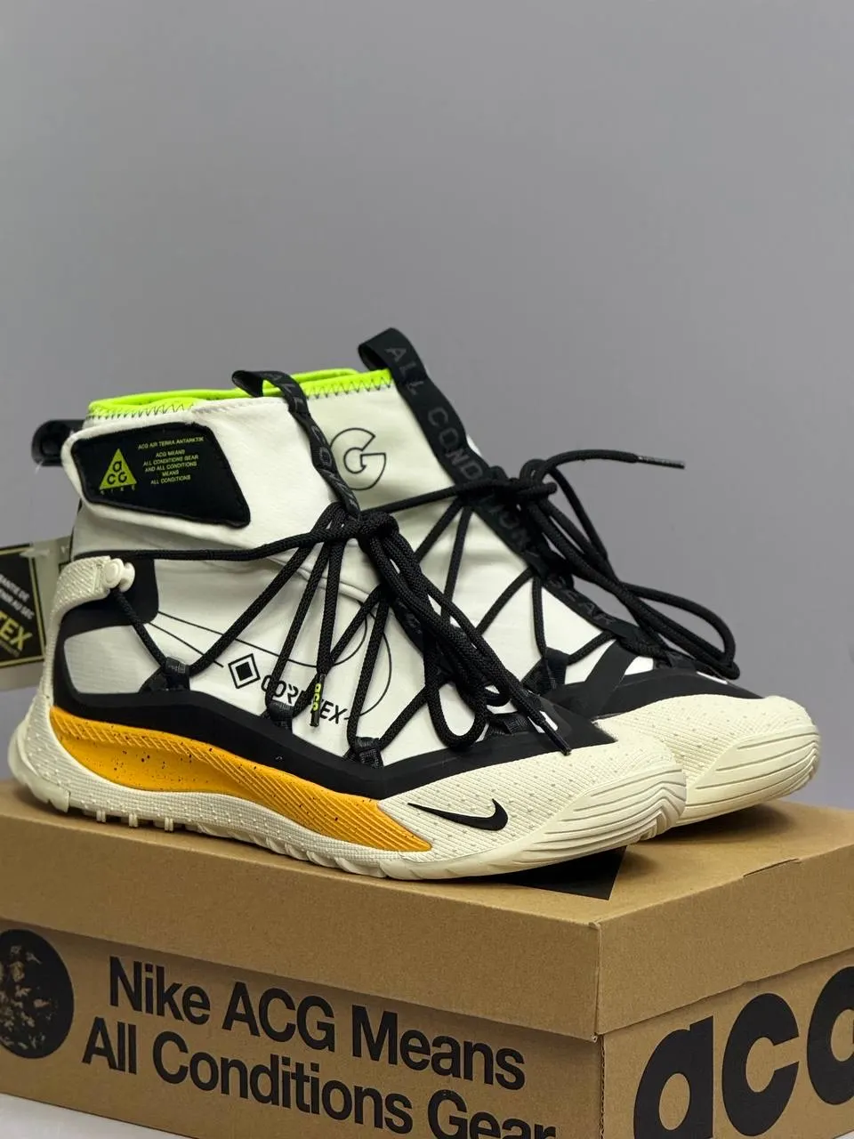 Nike ACG Mountain Fly 2 Low GORE-TEX