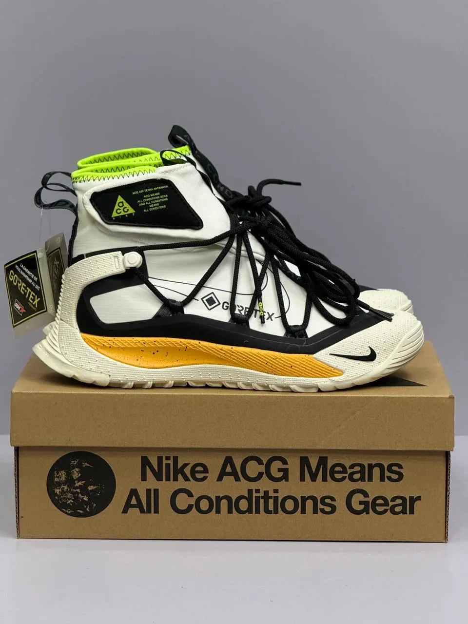 Nike ACG Mountain Fly 2 Low GORE-TEX