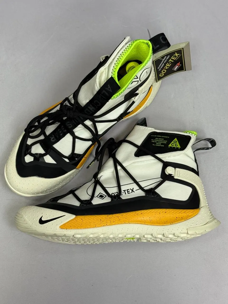 Nike ACG Mountain Fly 2 Low GORE-TEX
