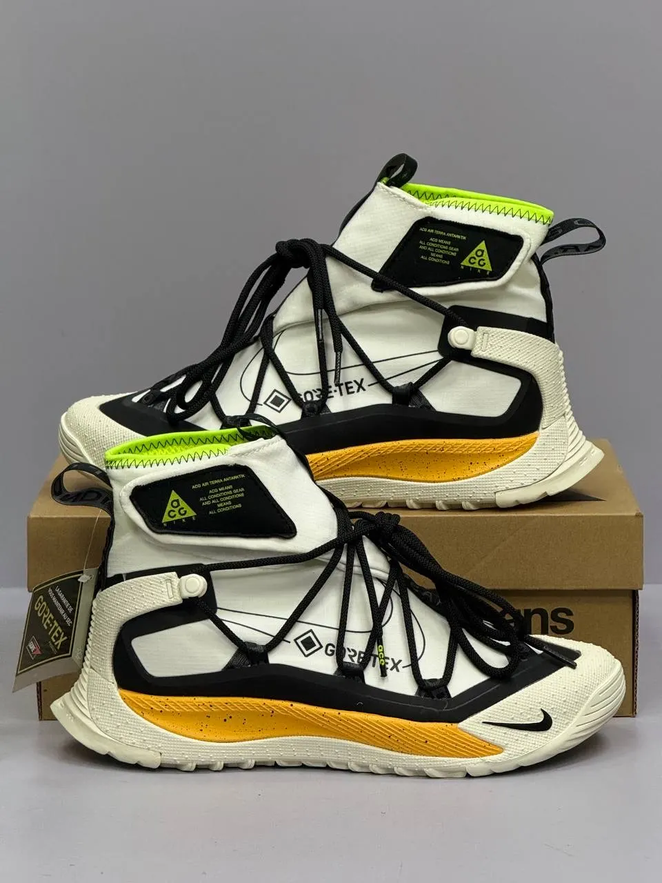 Nike ACG Mountain Fly 2 Low GORE-TEX